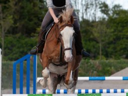IMG_0693_web